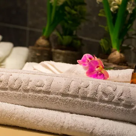 Hotel Irisa