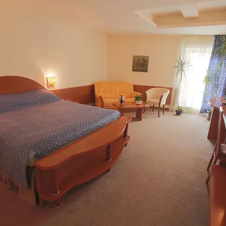 Irisa Hotel
